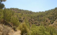 For sale, land, field, Limassol, kaminaria, 0m&sup2;, 3,808m&sup2;, &euro;3,000 