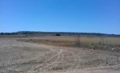 For sale, land, field, Famagusta, Paralimni, 2,429m&sup2;, &euro;15,000 
