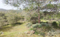 For sale, land, Nicosia, mitsero, 3,345m&sup2;, &euro;30,000 
