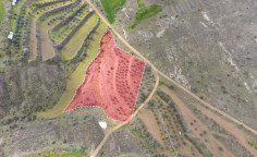 For sale, land, Nicosia, Klirou, 7,100m&sup2;, &euro;21,000 