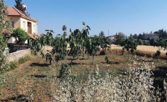 For sale, land, field, Nicosia, Klirou, 985m&sup2;, &euro;30,000 , Nicosia