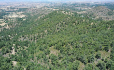 For sale, land, Nicosia, Klirou, 2,007m&sup2;, &euro;4,000 
