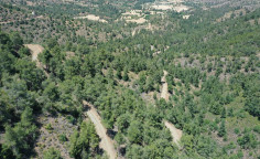 For sale, land, Nicosia, Klirou, 2,007m&sup2;, &euro;4,000 