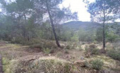 For sale, land, Nicosia, mitsero, 7,860m&sup2;, &euro;18,000 