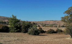 For sale, land, Nicosia, Agrokipia, 7,024m&sup2;, &euro;3,000 