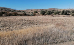 For sale, land, field, Nicosia, Agrokipia, 16,389m&sup2;, &euro;4,000 