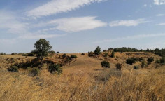 For sale, land, field, Nicosia, Klirou, 4,683m&sup2;, &euro;4,000 