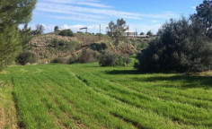 For sale, land, Nicosia, Klirou, 1,241m&sup2;, &euro;20,000 , Nicosia