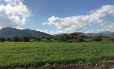 For sale, land, field, Nicosia, Klirou, 1,673m&sup2;, &euro;35,000 , Nicosia