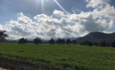 For sale, land, field, Nicosia, Klirou, 1,673m&sup2;, &euro;35,000 , Nicosia