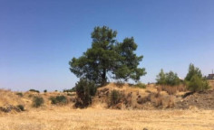For sale, land, field, Nicosia, Klirou, 1,050m&sup2;, &euro;24,000 , Nicosia