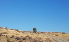For sale, land, Nicosia, Agrokipia, 3,679m&sup2;, &euro;19,000 , Nicosia