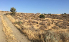 For sale, land, Nicosia, Agrokipia, 3,679m&sup2;, &euro;19,000 , Nicosia