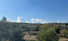 For sale, land, Nicosia, Agrokipia, 4,237m&sup2;, &euro;29,000 , Nicosia