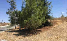 For sale, land, Nicosia, mitsero, 800m&sup2;, &euro;10,000 , Nicosia