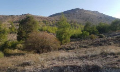 For sale, land, Nicosia, mitsero, 4,794m&sup2;, &euro;53,000 , Nicosia