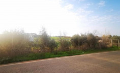 For sale, land, Famagusta, Frenaros, 9,356m², €75,000 For sale, land, Famagusta, Frenaros, 9,356m², €75,000