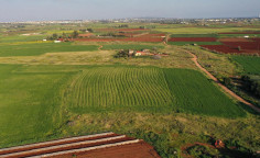 For sale, land, Famagusta, Frenaros, 10,300m², €62,000 For sale, land, Famagusta, Frenaros, 10,300m², €62,000