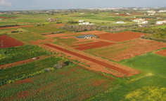 For sale, land, field, Famagusta, Liopetri, 7,465m&sup2;, &euro;115,000 , Famagusta