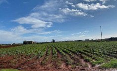 For sale, land, field, Famagusta, Liopetri, 7,465m&sup2;, &euro;115,000 , Famagusta