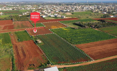 For sale, land, field, Famagusta, Liopetri, 9,336m&sup2;, &euro;112,000 , Famagusta