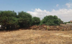 For sale, land, field, Famagusta, Sotira, 7,108m², €55,000 , Famagusta For sale, land, field, Famagusta, Sotira, 7,108m², €55,000 , Famagusta