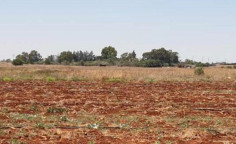For sale, land, field, Famagusta, Liopetri, 15,047m&sup2;, &euro;90,000 
