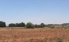 For sale, land, field, Famagusta, Liopetri, 15,047m&sup2;, &euro;90,000 