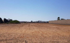 For sale, land, field, Famagusta, Frenaros, 7,001m², €70,000 For sale, land, field, Famagusta, Frenaros, 7,001m², €70,000