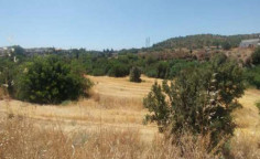 For sale, land, Larnaca, Alethriko, 5,649m&sup2;, &euro;160,000 , Larnaca