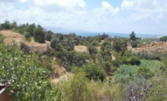 For sale, land, field, Paphos, Argaka, 2,230m&sup2;, &euro;17,000 , Paphos