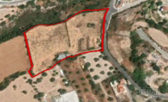 Land 13044 m2 for sale in Tala, Paphos