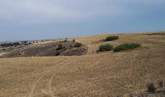 For sale, land, field, Nicosia, Deftera Pano, 16,959m&sup2;, &euro;101,420 