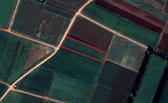 (agricultural) in Ormidia, Larnaca for sale , Larnaca