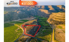 For sale, land, field, Larnaca, Maroni, 0m&sup2;, 7,173m&sup2;, &euro;37,000 