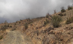 For sale, land, Larnaca, Melini, 16,389m&sup2;, &euro;26,000 