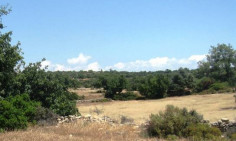 Residential 15051 m2 for sale in Souni-Zanakia, Limassol