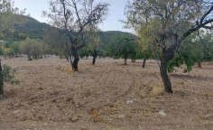 For sale, land, Limassol, Laneia, 18,634m&sup2;, &euro;45,000 