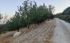 For sale, land, Limassol, Laneia, 18,634m&sup2;, &euro;45,000 
