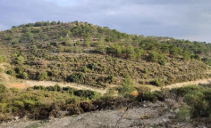 For sale, land, Limassol, Laneia, 26,788m&sup2;, &euro;80,000 