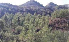 For sale, land, Limassol, Agios Mamas, 17,392m&sup2;, &euro;45,000 