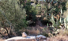 For sale, land, field, Limassol, Fasoula, 762m&sup2;, &euro;12,000 , Limassol