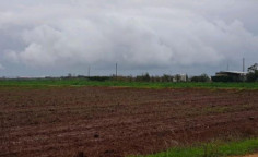 For sale, land, field, Larnaca, Xylofagou, 3,158m&sup2;, &euro;22,000 