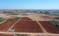 For sale, land, field, Larnaca, Xylofagou, 3,158m&sup2;, &euro;22,000 