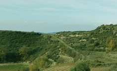 For sale, land, Limassol, Agios Mamas, 4,842m&sup2;, &euro;11,000 