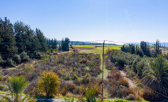 For sale, land, field, Paphos, Kouklia, 18,228m&sup2;, &euro;775,000 , Paphos