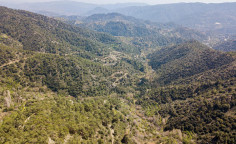 For sale, land, field, Limassol, Agios Theodoros, 3,679m&sup2;, &euro;3,000 