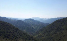 For sale, land, field, Limassol, Agios Theodoros, 3,679m&sup2;, &euro;3,000 