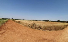 For sale, land, Larnaca, Xylofagou, 5,372m&sup2;, &euro;28,000 