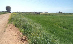 For sale, land, Larnaca, Xylofagou, 7,860m&sup2;, &euro;31,000 